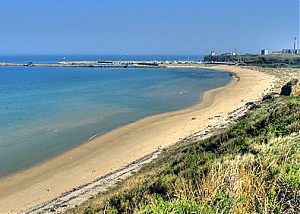 vasto, incredibile ma vero, punta penna