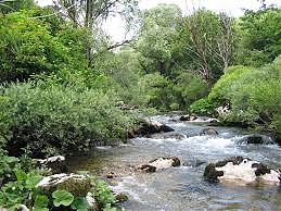 acqua, fiume, trigno, captazione