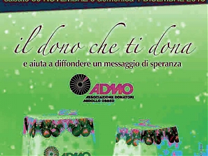 admo, un panettone per la vita