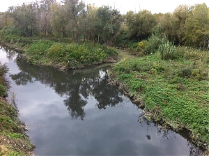 montesilvano, contratti, di fiume
