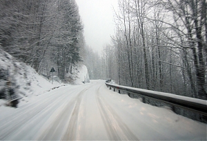 neve