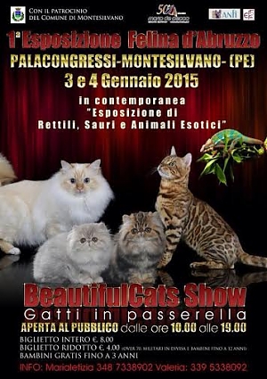 montesilvano, felino