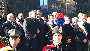 d'alfonso