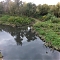 brevi