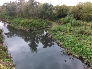 pescara, provincia, saline, mazzocca, contratti di fiume