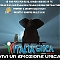 cronaca-abruzzo